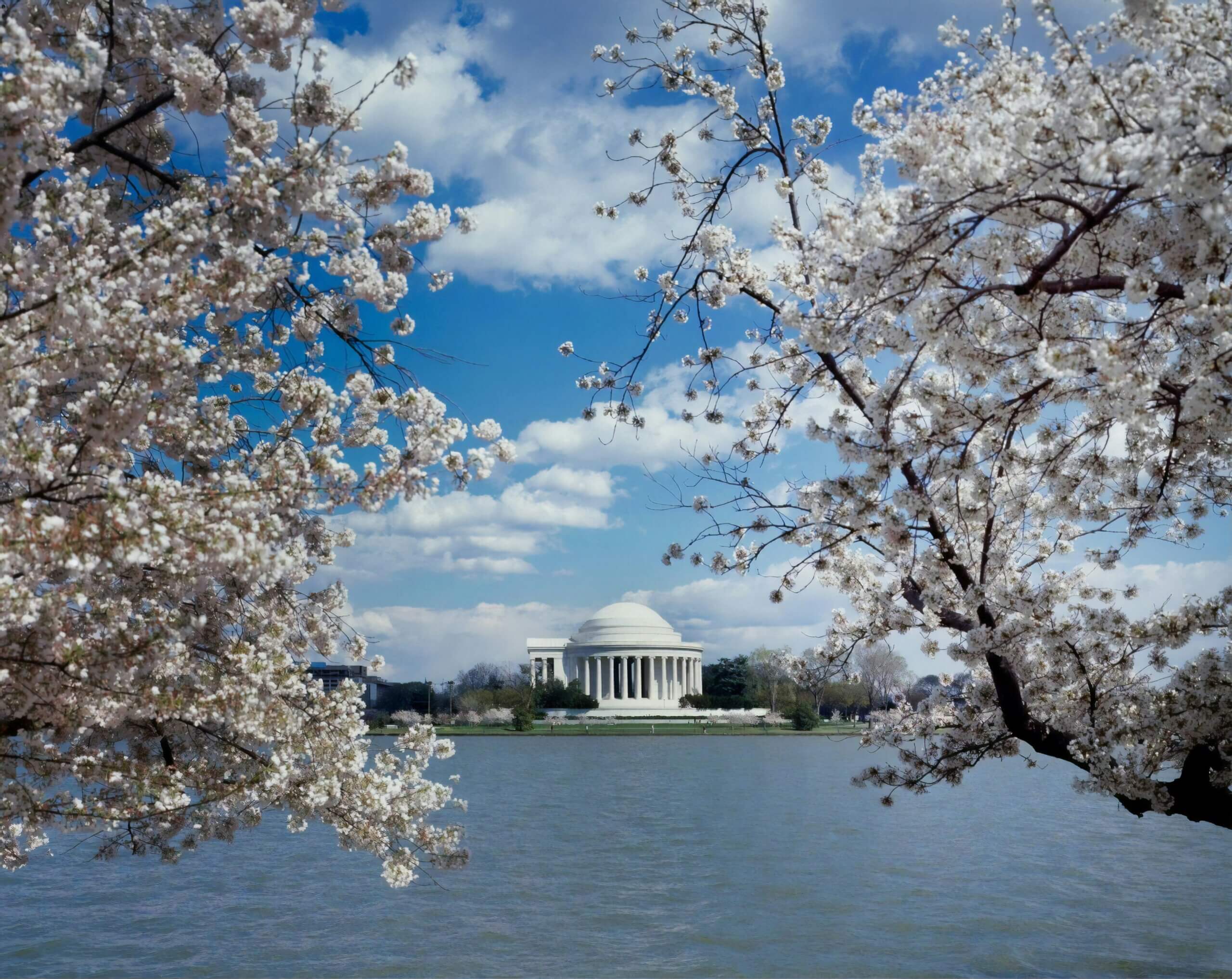 library-of-congress-yNANhWCZG9c-unsplash