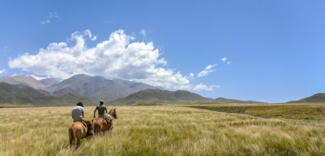 Mendoza