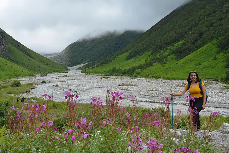 Valley of Flowers - Stay photo