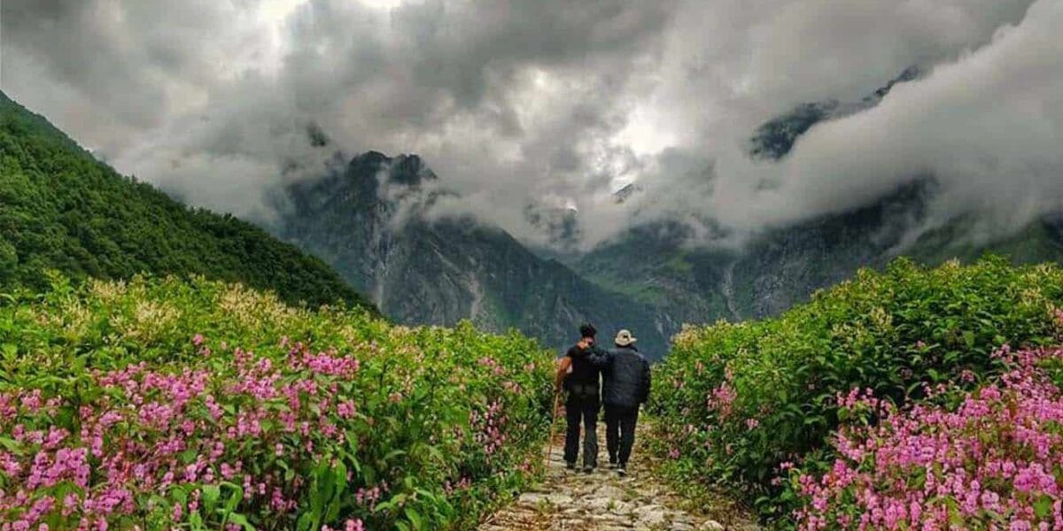 Valley of Flowers