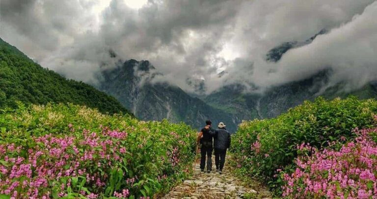 Valley-of-flowers5-onlitrip