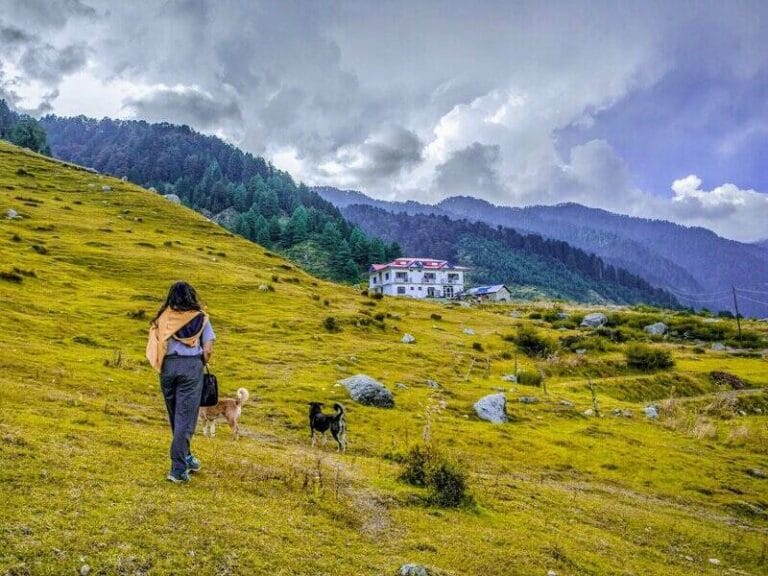 Barot Valley & Bir Tour