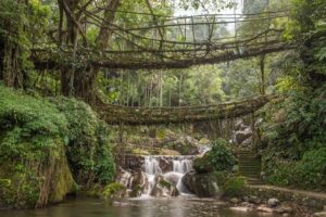Meghalaya – It Rains Here 365 Days - Photo 4 photo